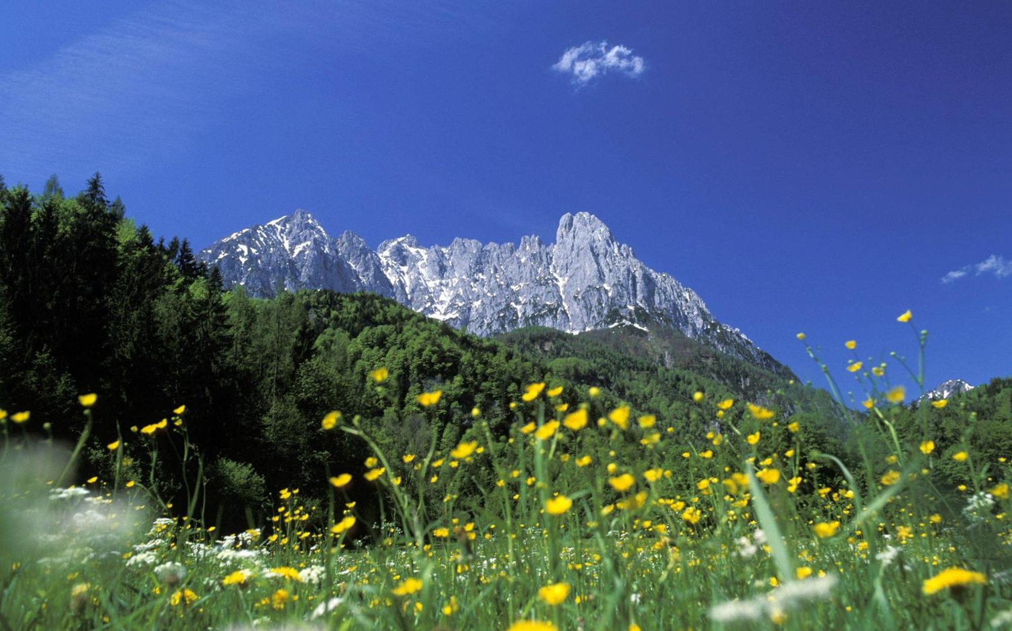 Landhaus Foidl St. Johann in Tirol Kültér fotó