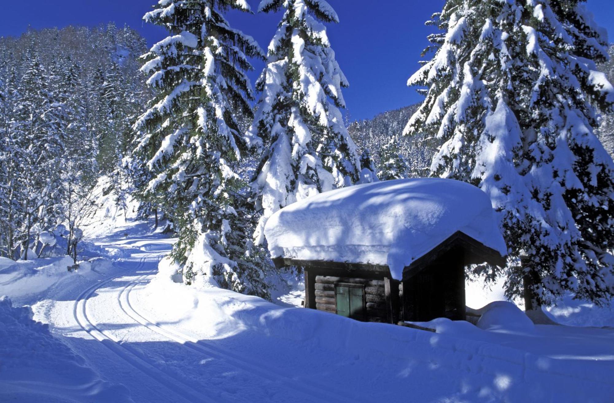 Landhaus Foidl St. Johann in Tirol Kültér fotó