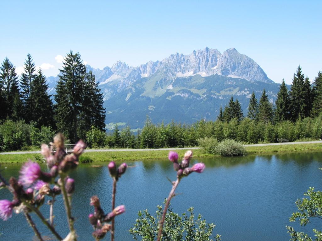 Landhaus Foidl St. Johann in Tirol Kültér fotó